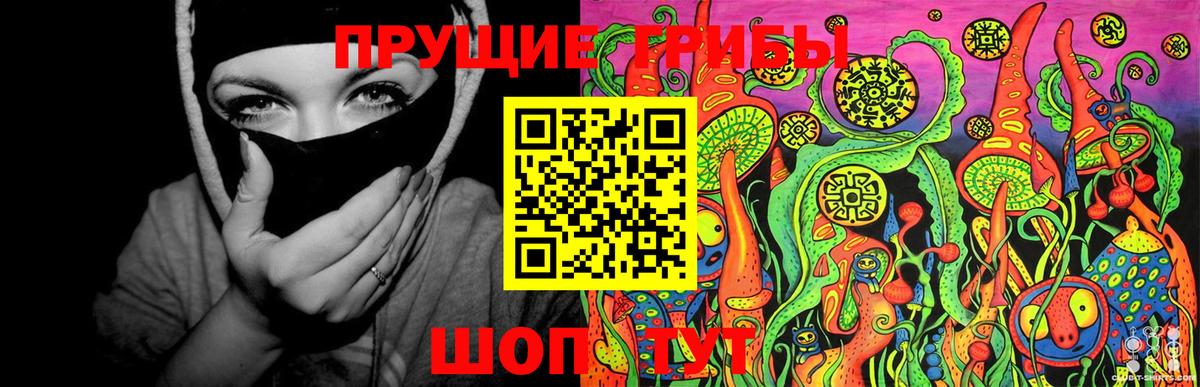Псилоцибиновые грибы мицелий  Галлюциногенные грибы мухоморы  Куйбышев  Вход с VPN 