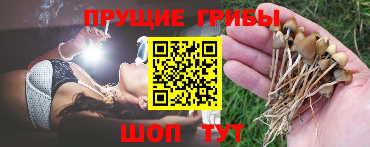 А ПВП Куйбышев